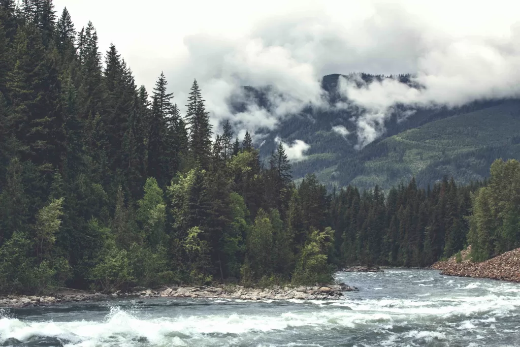 A river with trees and mountains in the background