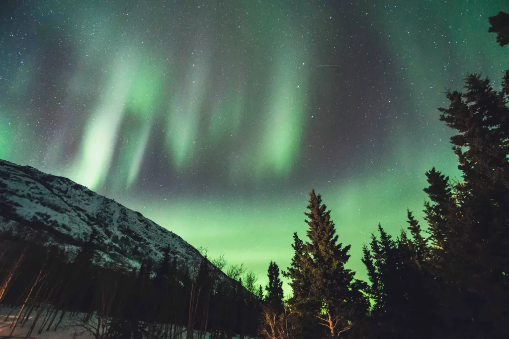 Green lights in the sky over trees and mountains