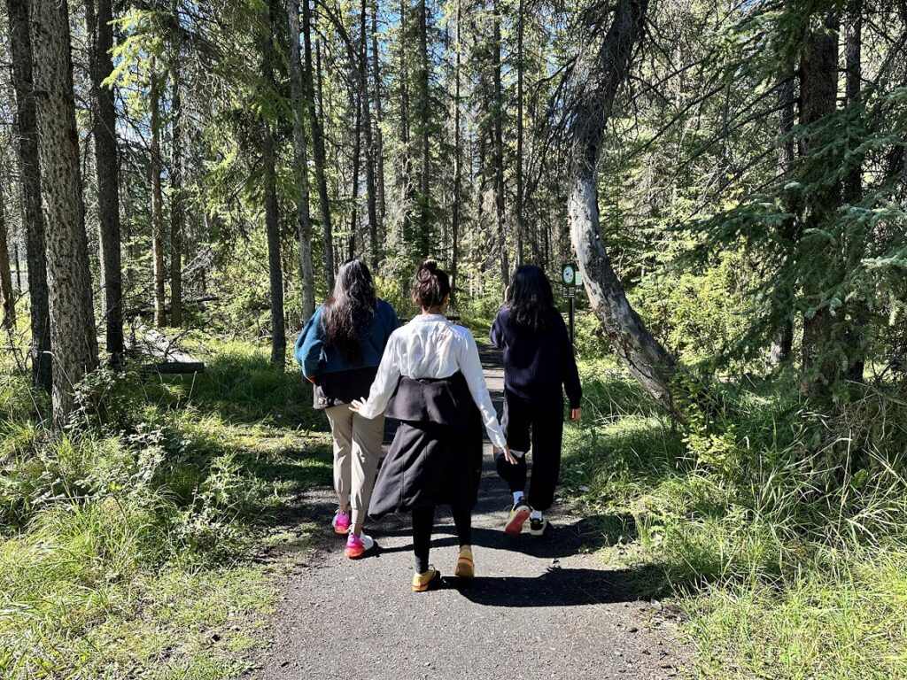 A group of people walking on a path in the woods