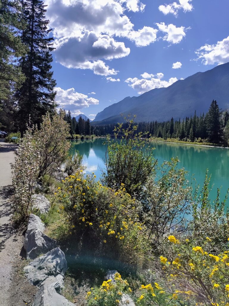 A body of water with trees and mountains in the background