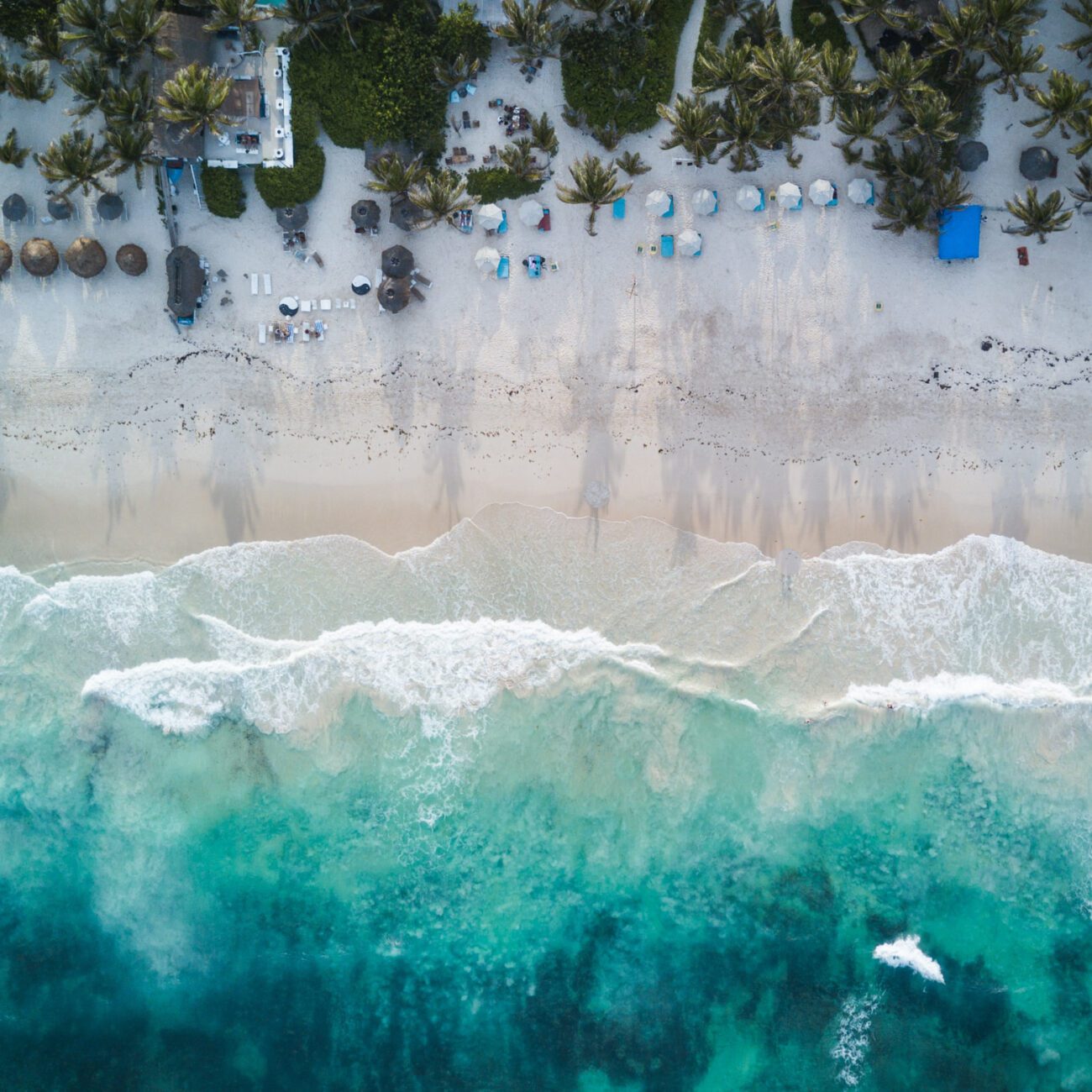 a beach with umbrellas and palm trees