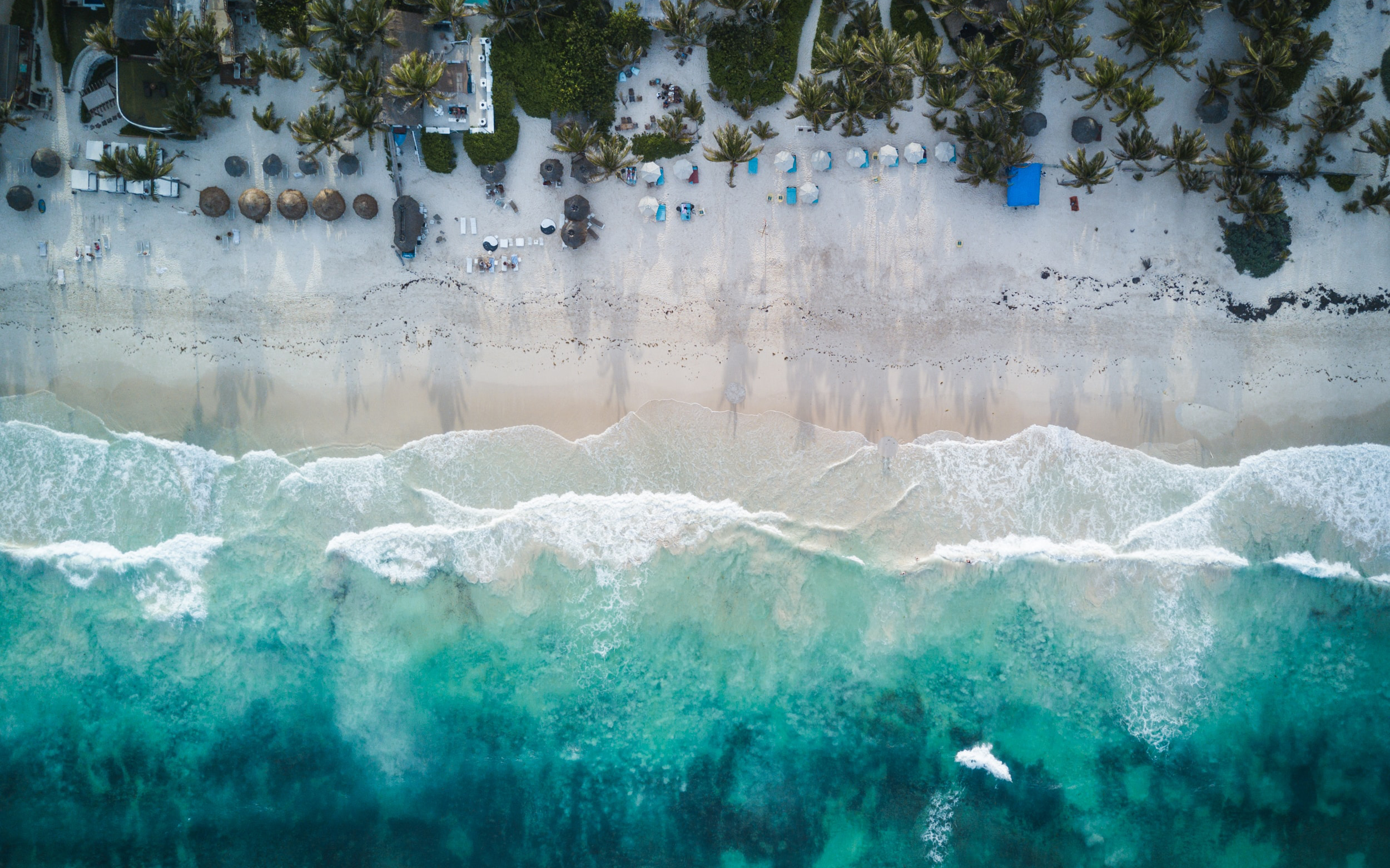 a beach with umbrellas and palm trees