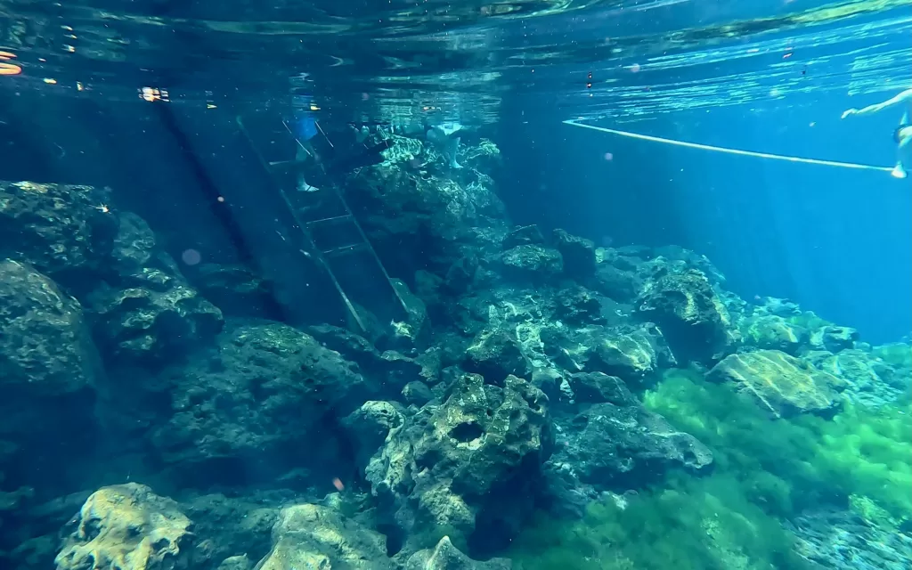 A person swimming under water