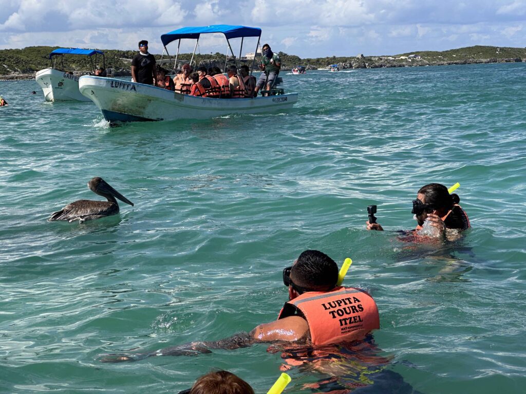 People swimming in the water with a boat and a pelican