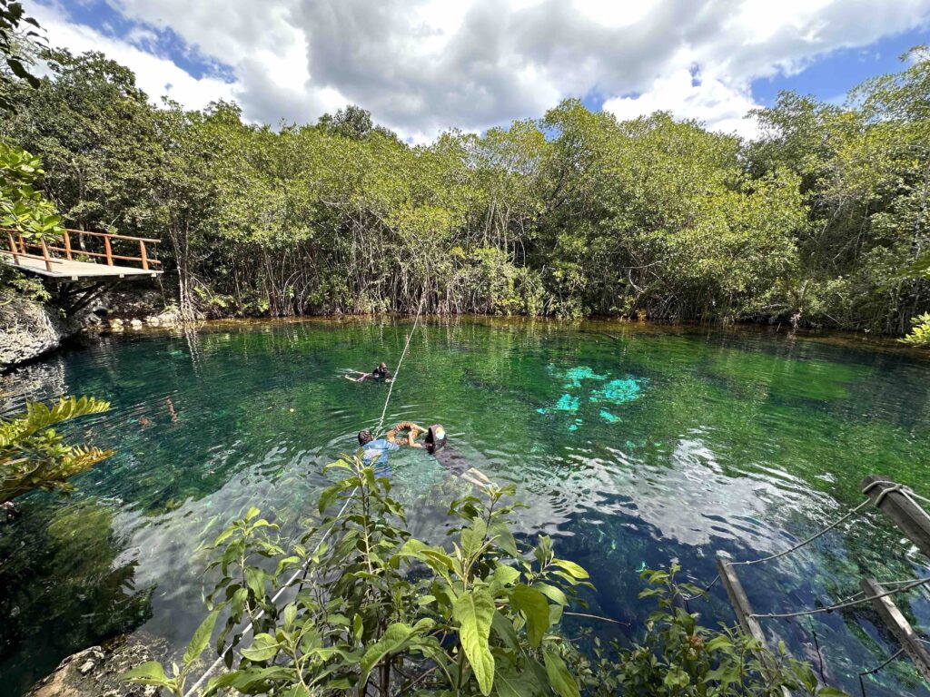 People swimming in a pond with trees