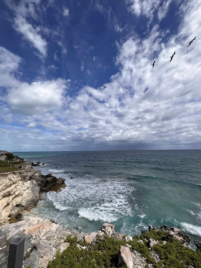 A rocky beach with birds flying over it