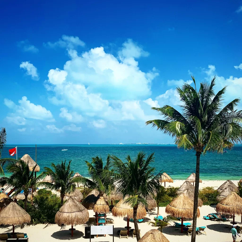 A beach with palm trees and straw umbrellas