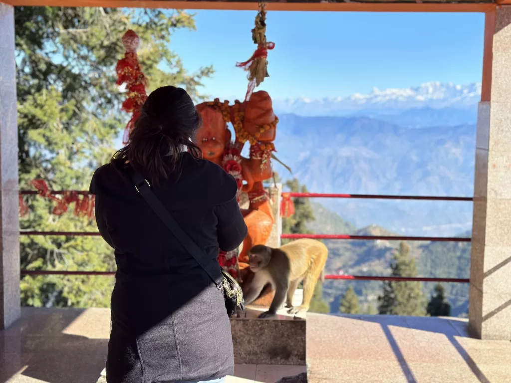 A person looking at a monkey