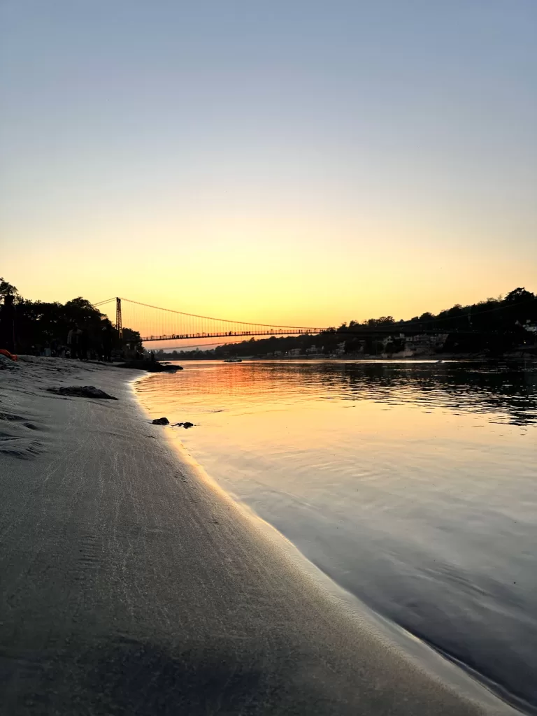 A beach with a bridge and trees