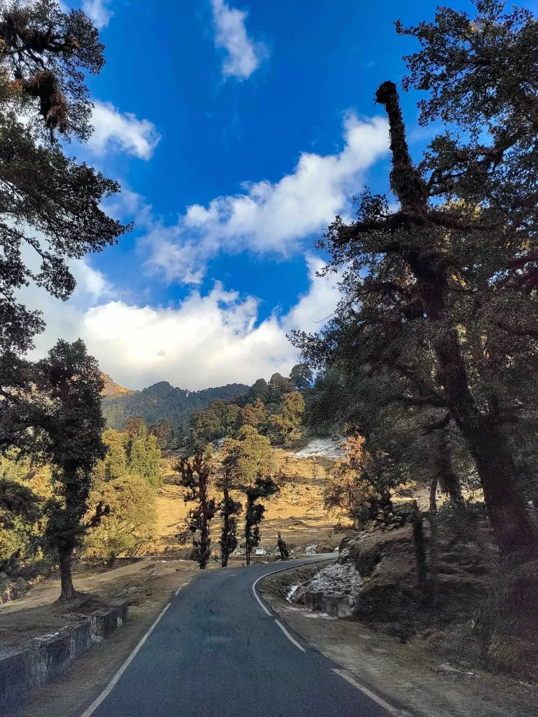 A road with trees and blue sky