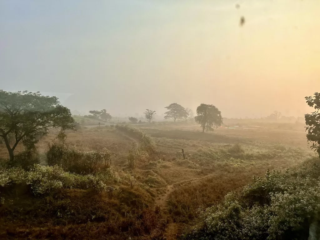 A landscape with trees and bushes. Enroute Tejas Express