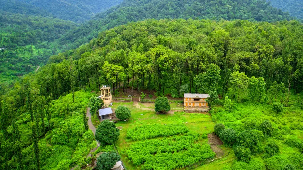 A house in a forest