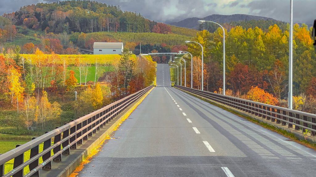 Countryside highway road of Japan with autumn season trees around