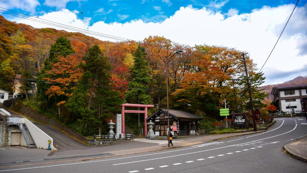 Autumn Trees with clear blue sky in background