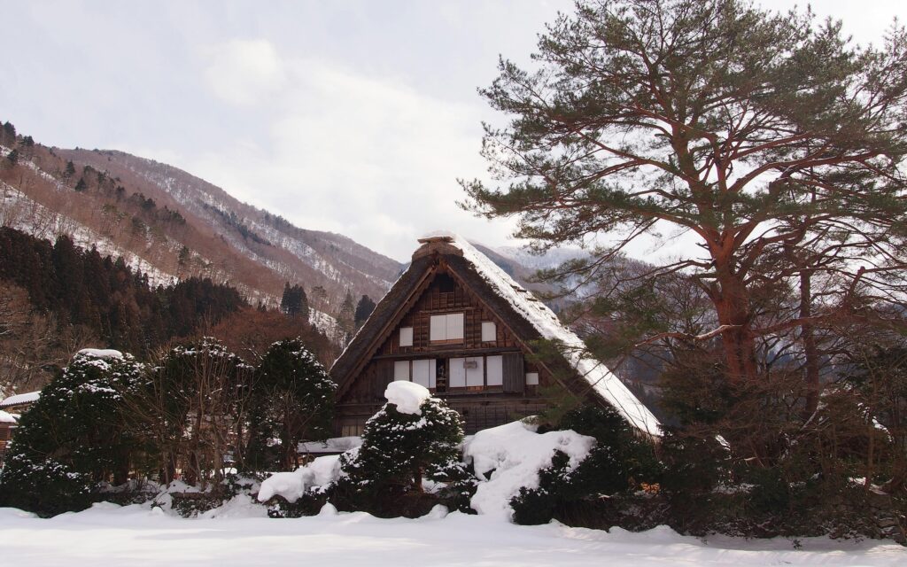 Snow capped tradition houses of Japan