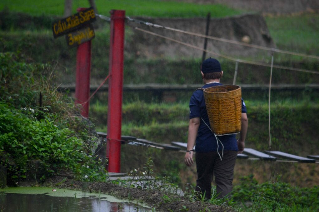 A person holding a basket in rice fields of Vietnam