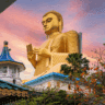Golden Buddha Statue in Dambulla - SriLanka